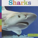 Sharks cover