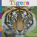 Tigers cover