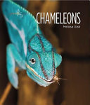 Chameleons cover