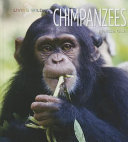 Chimpanzees cover
