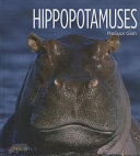 Hippopotamuses cover
