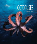 Octopuses cover