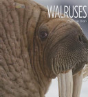 Walruses cover
