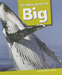 The Many Kinds of Big cover
