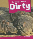 The Many Kinds of Dirty cover