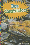 Boa Constrictors cover