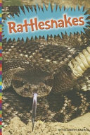 Rattlesnakes cover