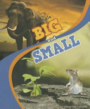 Animals Big and Small cover