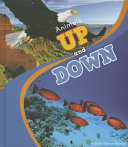 Animals Up and Down cover
