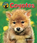 Coyotes cover