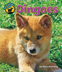 Dingoes cover