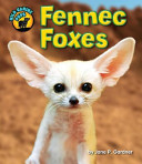 Fennec Foxes cover
