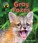 Gray Foxes cover