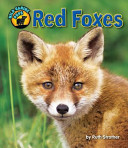 Red Foxes cover