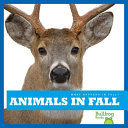 Animals in Fall cover