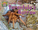 Inside the Tarantula's Burrow cover