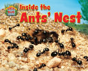 Inside the Ants' Nest cover