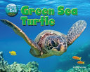 Green Sea Turtle cover