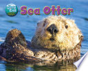 Sea Otter cover