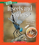 Insects and Spiders cover