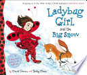 Ladybug Girl and the Big Snow cover