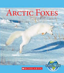 Arctic Foxes cover