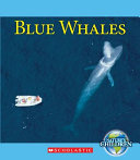 Blue Whales cover