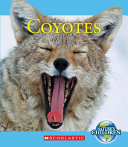Coyotes cover