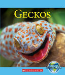 Geckos cover