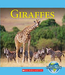 Giraffes cover