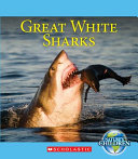 Great White Sharks cover