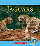 Jaguars cover