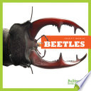 Beetles cover
