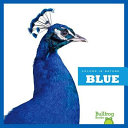 Blue cover