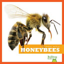 Honeybees cover