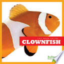 Clownfish cover