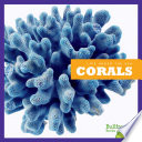 Corals cover