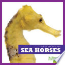 Sea Horses cover