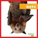 Bats cover