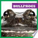 Bullfrogs cover