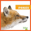 Foxes cover