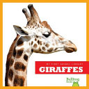 Giraffes cover
