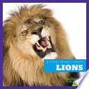 Lions cover