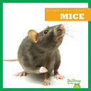 Mice cover