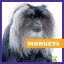 Monkeys cover