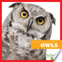 Owls cover