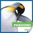 Penguins cover
