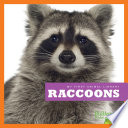 Raccoons cover