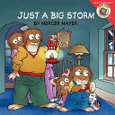Just a Big Storm cover