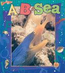 A...B...Sea cover